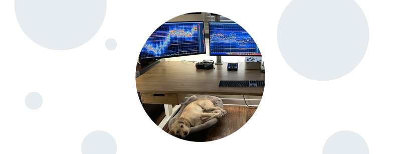 <p>Img 2: Claudio’s other dog resting beside Bookmap charts!</p>