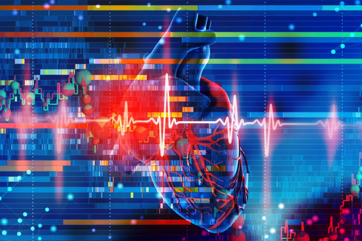 From Heatmaps to Heartbeats: A Guide to Interpreting Market Health