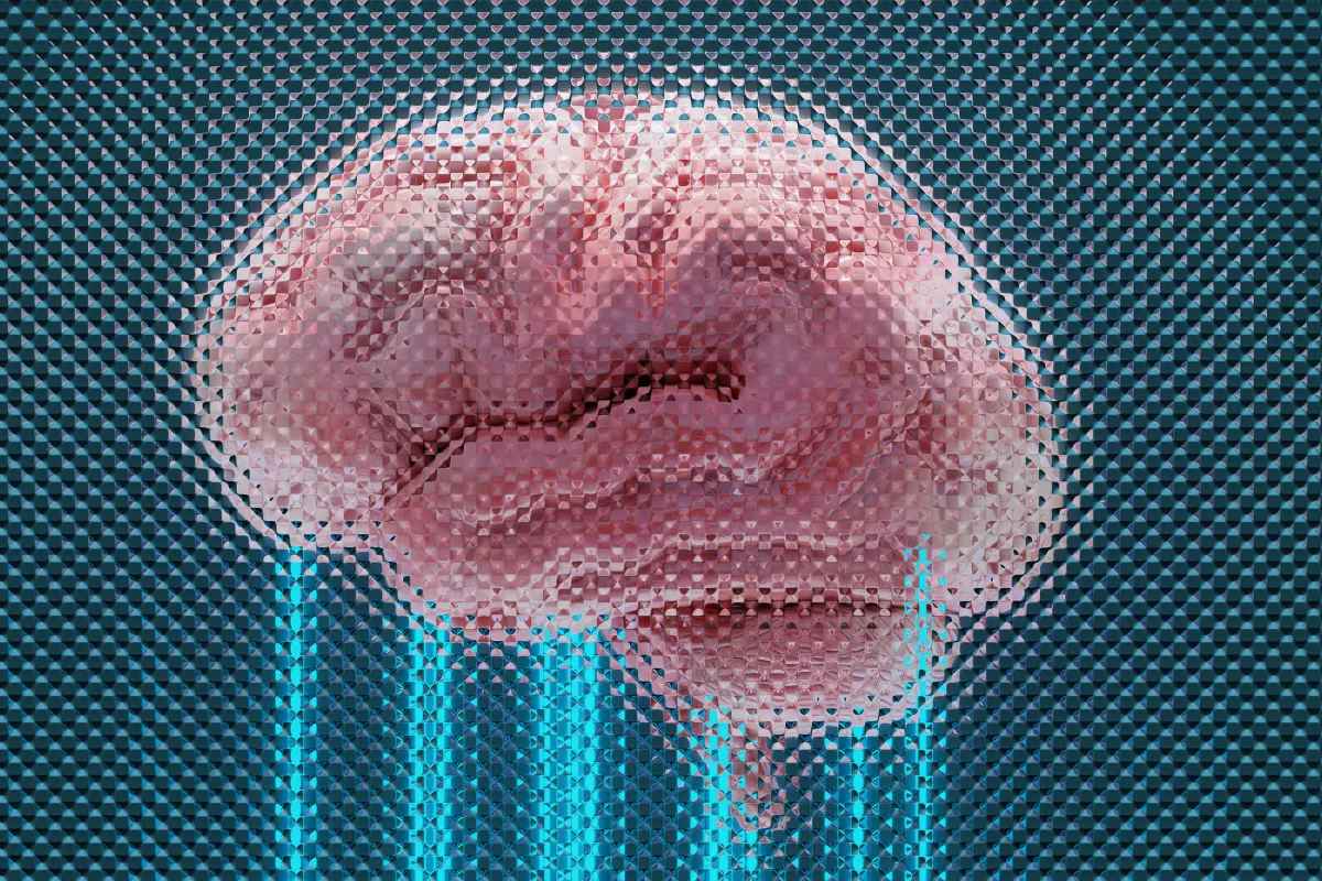 What If the Market Had a Memory? How Historical Liquidity Still Shapes Future Price